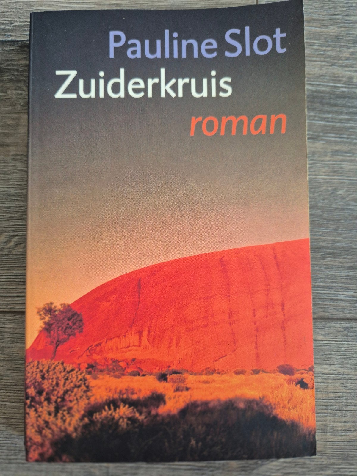Zuiderkruis - Pauline Slot (roman), Ophalen of Verzenden, Gelezen, Pauline Slot, Nederland