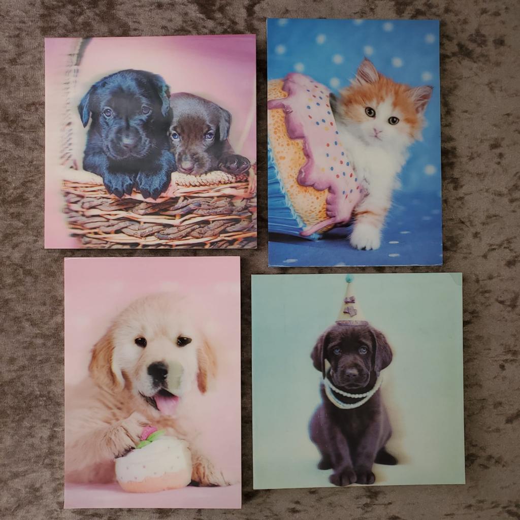 4x Leuke Dieren Wanddecoratie - Honden & Kat, Ophalen, Minder dan 50 cm, Minder dan 50 cm, Print