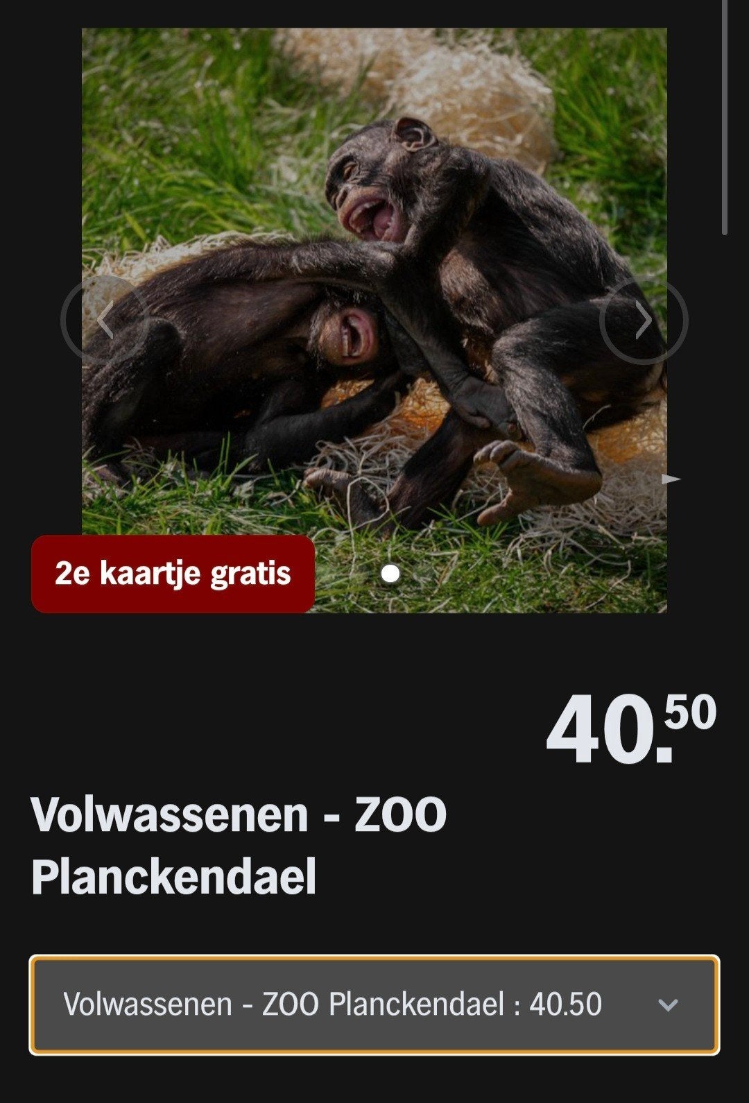 ZOO planckendael ♡ 2e kaartje gratis (AH SPAARKAARTEN), Tickets en Kaartjes, Recreatie | Dierentuinen, Overige typen