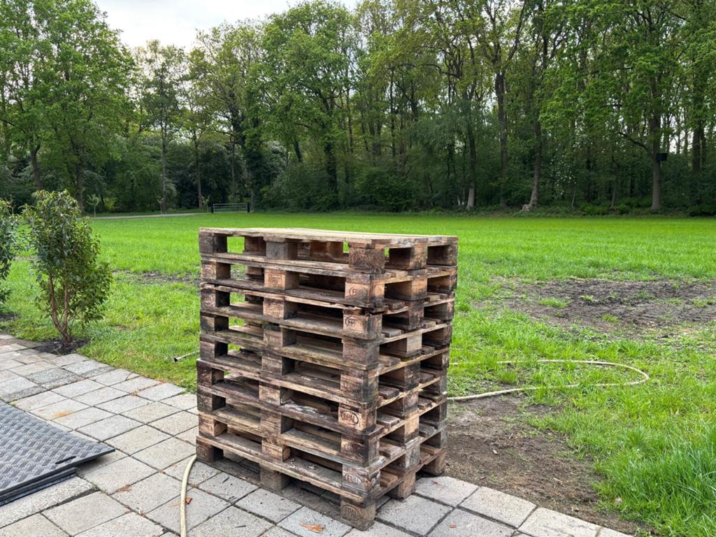 10 x Houten pallets- 4,00 per stuk, Ophalen, Overige houtsoorten, Minder dan 200 cm, Pallet