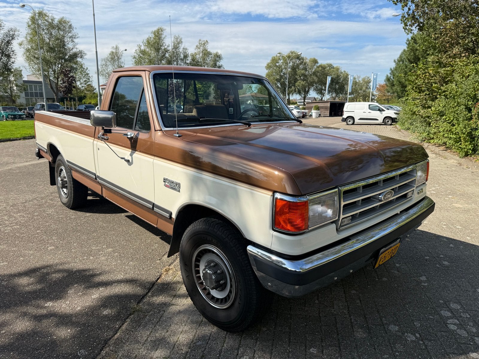 Ford F250 1988, Automaat, Bruin, 234 pk, Bruin