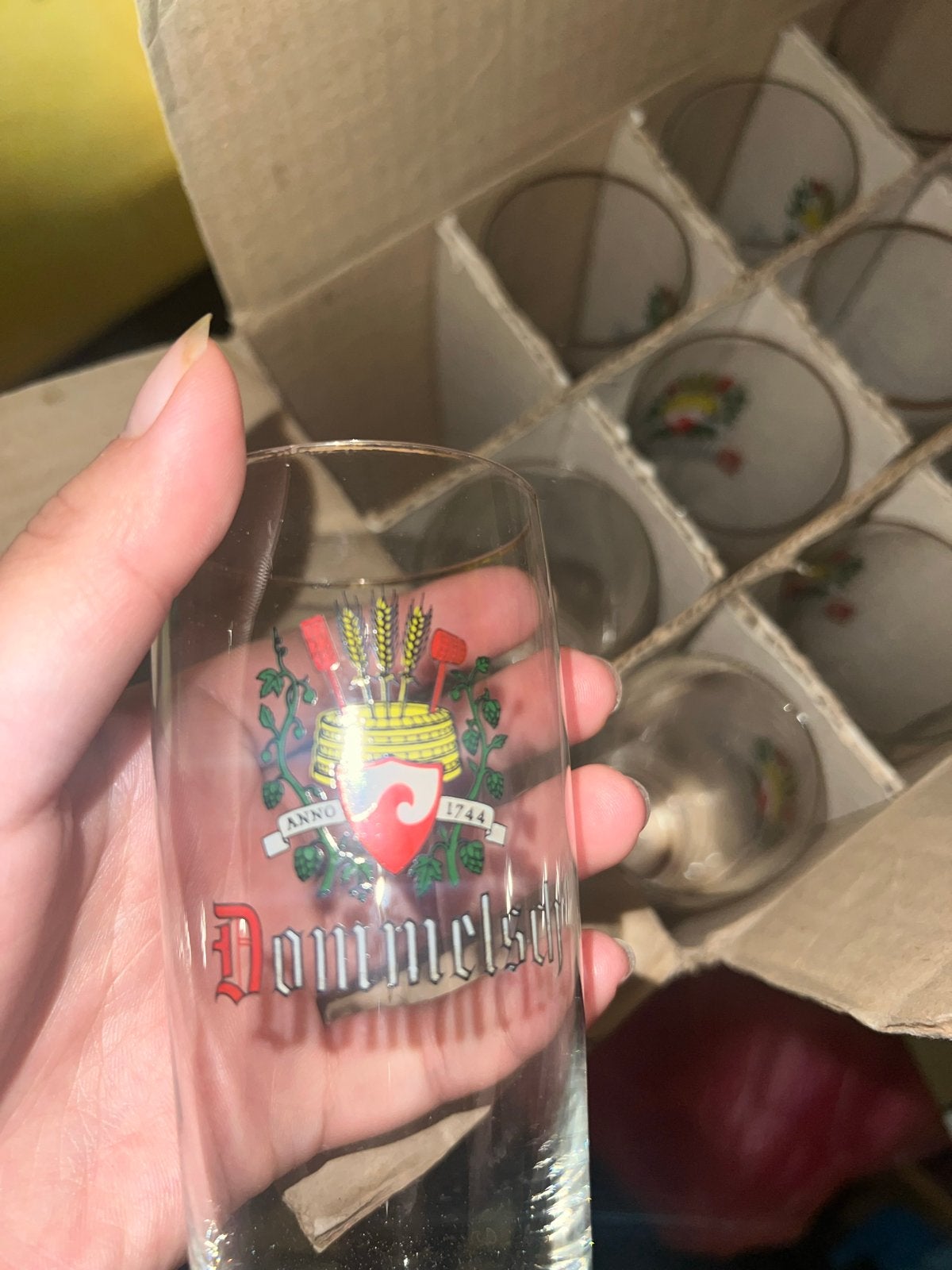 12 Dommelsch bierglazen 0,2L - Nieuw in doos, Ophalen of Verzenden, Nieuw, Glas of Glazen, Overige merken