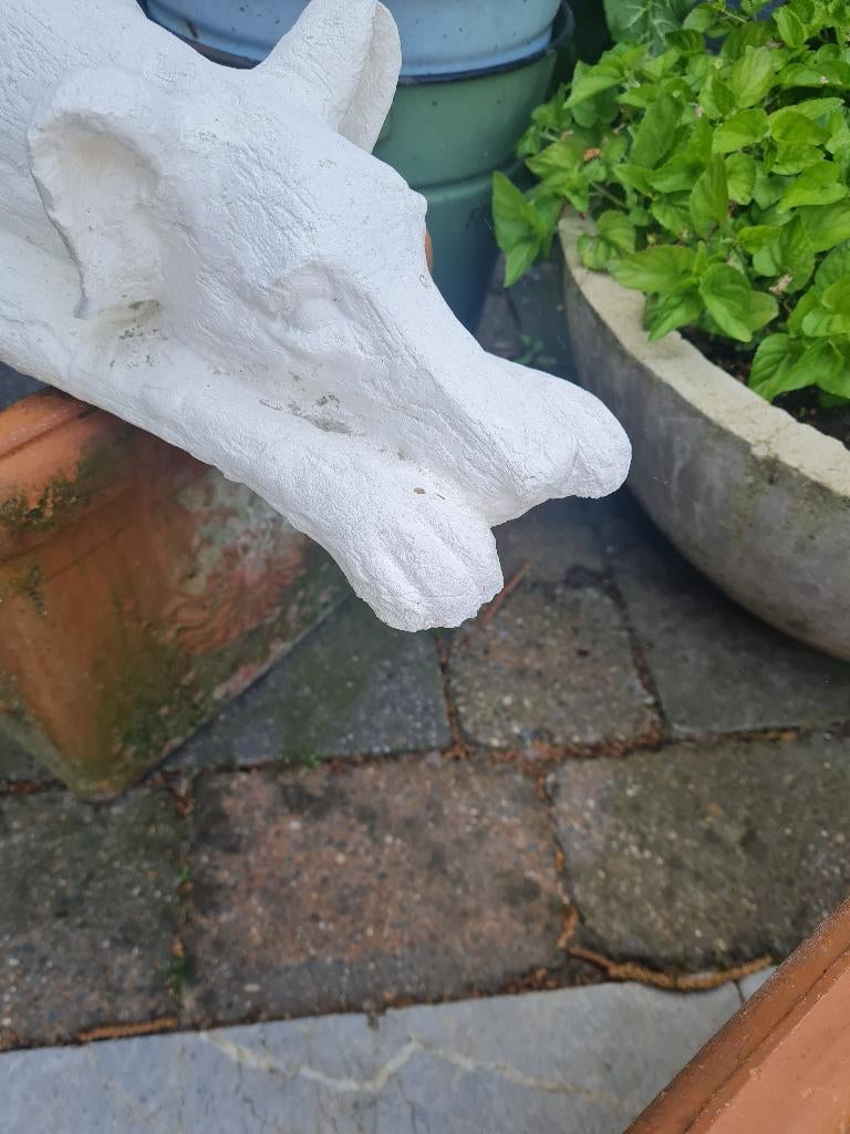 Betonnen liggende hond, Ophalen, Belle Vieille Brocante, Zo goed als nieuw, Jolandamonsieurs@gmail.com