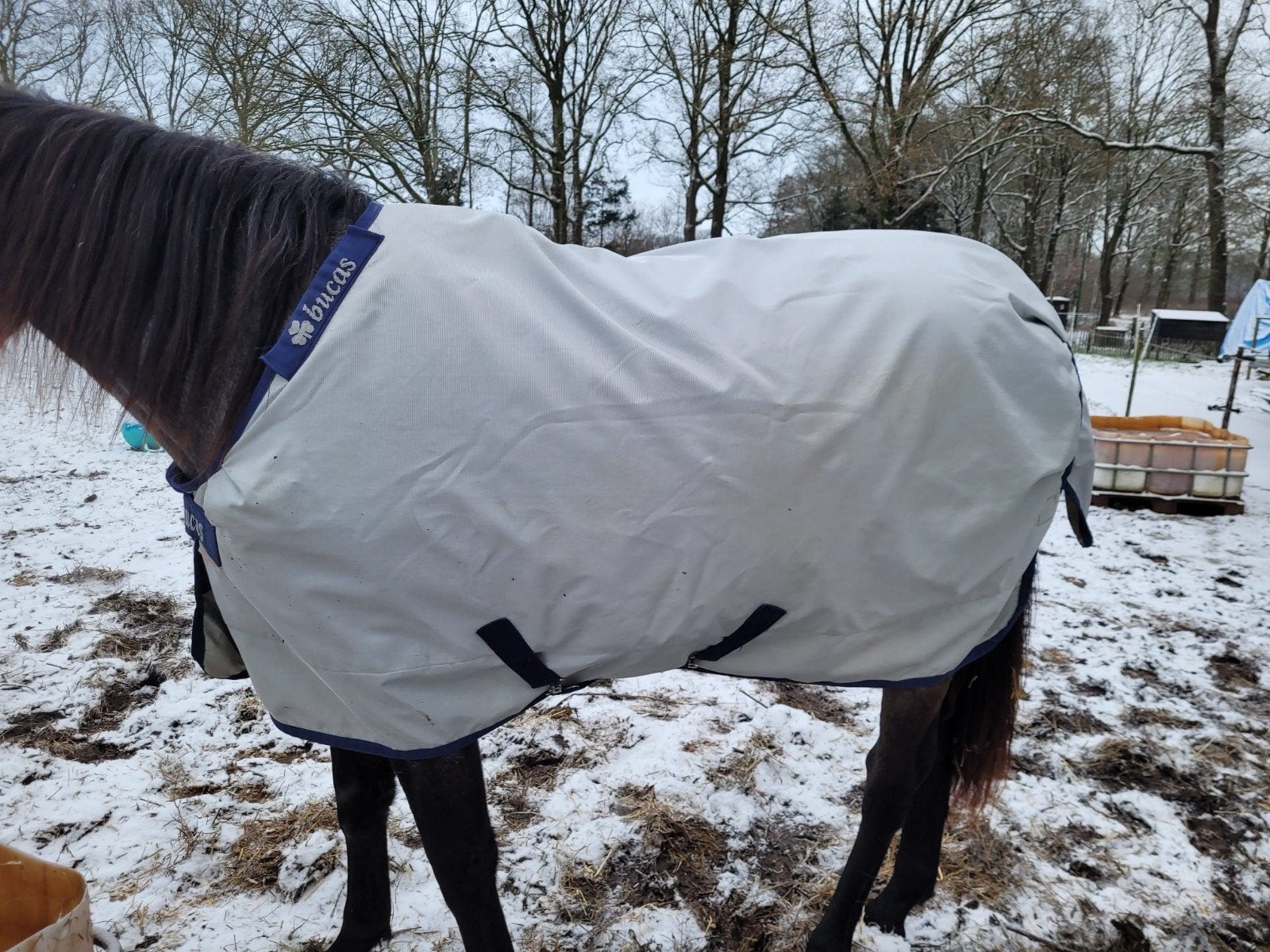 Bucas power turnout Light 5.3, Dieren en Toebehoren, Ophalen of Verzenden, Zo goed als nieuw, Deken, Bucas