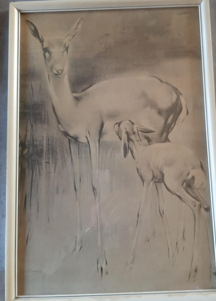Vintage Hert en Kalf Tekening - Ingelijst, Antiek en Kunst, Kunst | Tekeningen en Foto's, Verzenden