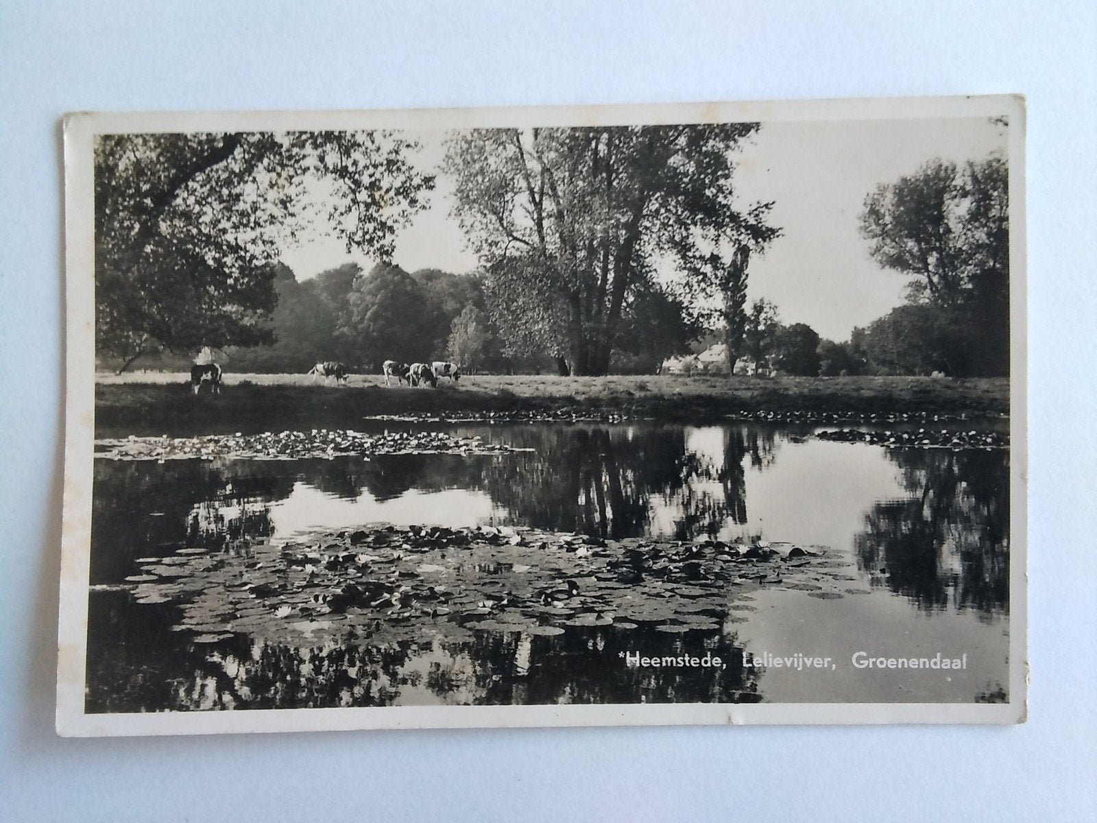 Ansichtkaart Heemstede Groenendaal Lelievijver ca. 1960, Verzenden, 1960 tot 1980, Zo goed als nieuw, Overige onderwerpen