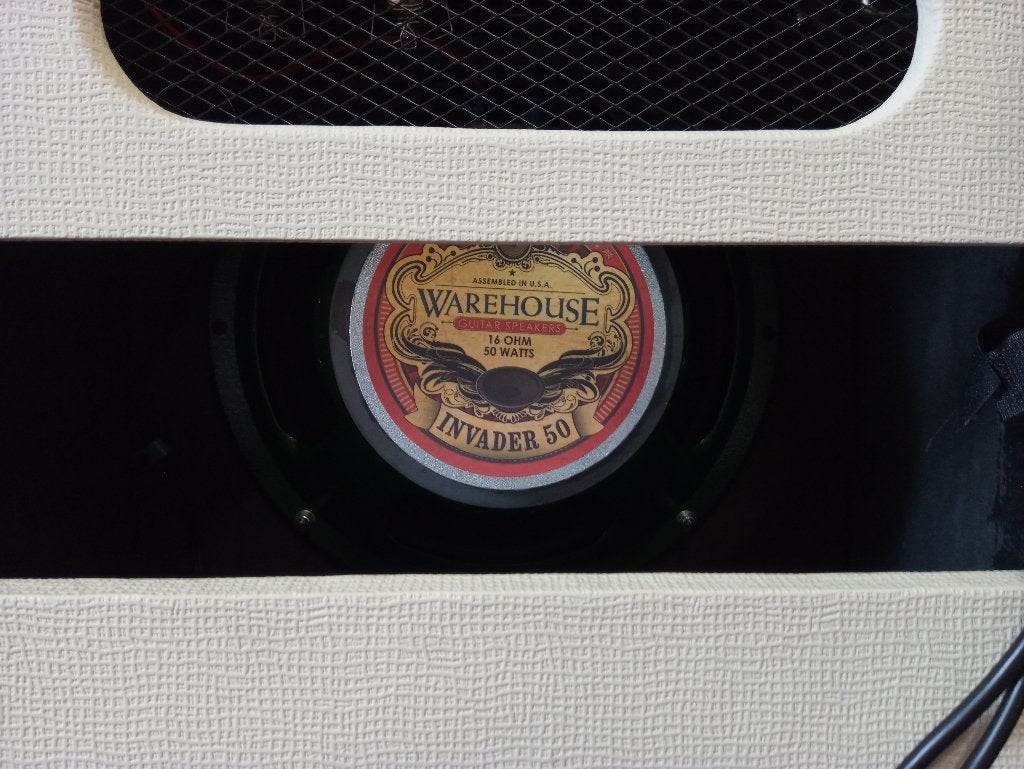 WGS INVADER 50 speaker, Muziek en Instrumenten, Versterkers | Bas en Gitaar, Ophalen of Verzenden, Zo goed als nieuw, Gitaar, Minder dan 50 watt