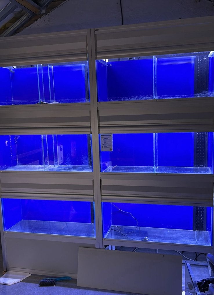 Professionele Aquarium stellage 200x225 cm, Dieren en Toebehoren, Vissen | Aquaria en Toebehoren, Ophalen, Zo goed als nieuw, Leeg aquarium