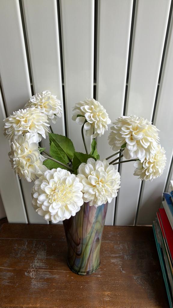 10 witte Dahlia’s, Ophalen of Verzenden, Nieuw