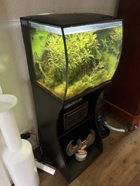 Fluval Flex 57L incl. meubel, Dieren en Toebehoren, Vissen | Aquaria en Toebehoren, Ophalen, Gebruikt, Inclusief slangen, Gevuld zoetwateraquarium