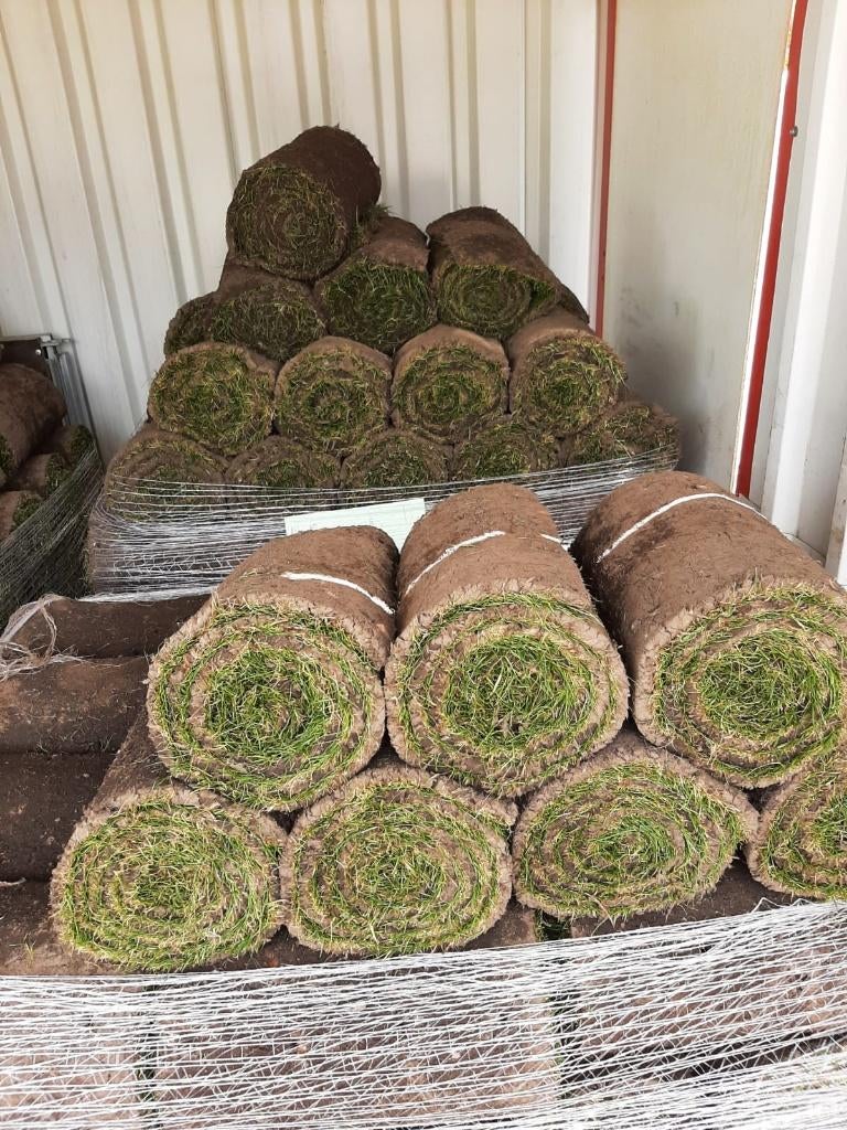We snijden weer Graszoden Vandaag leggen. Zoden op voorraad, Tuin en Terras, Gras en Kunstgras, Ophalen of Verzenden, Nieuw, 20 m² of meer
