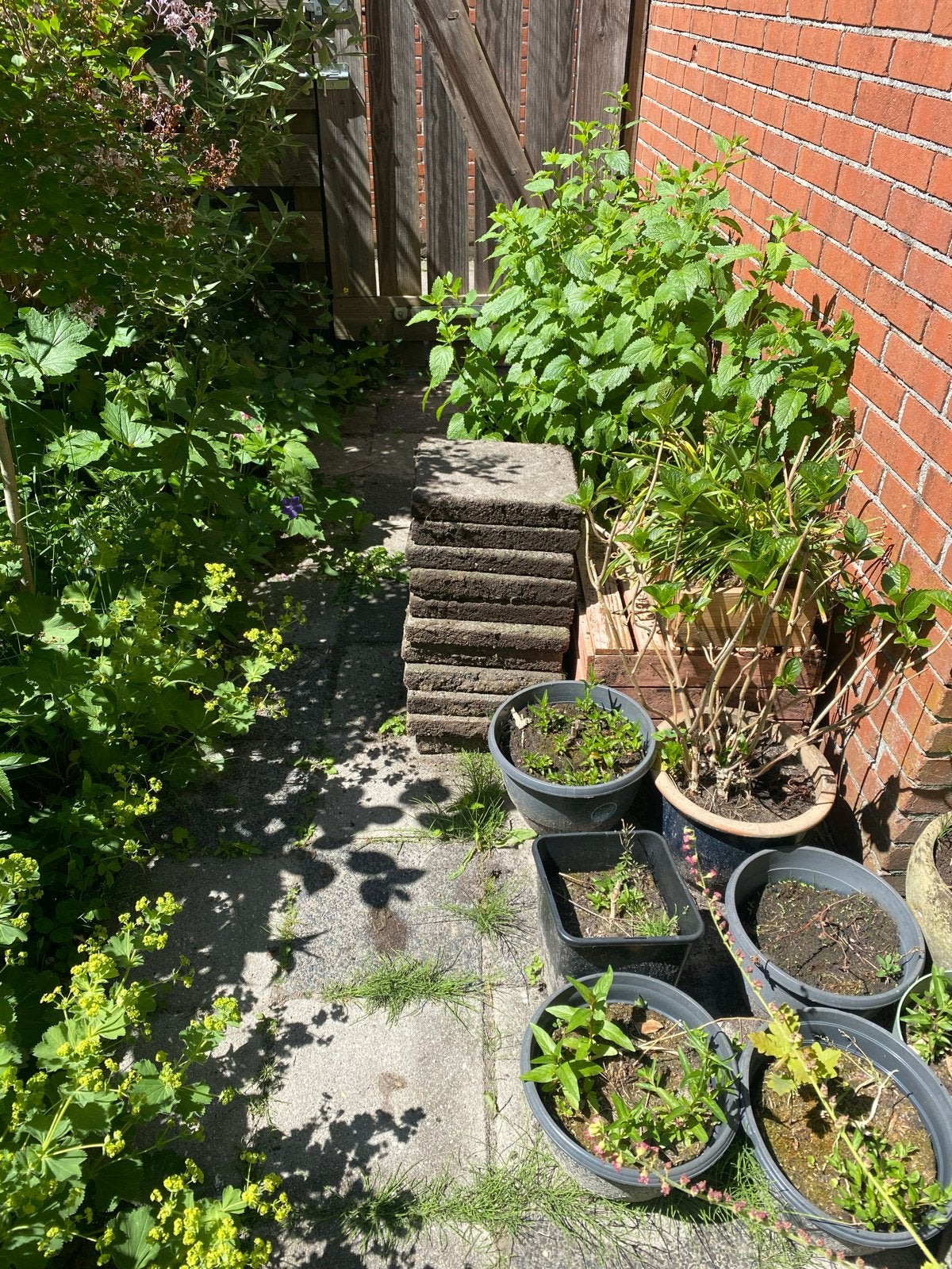 Gratis stoeptegels 30x30, Ophalen