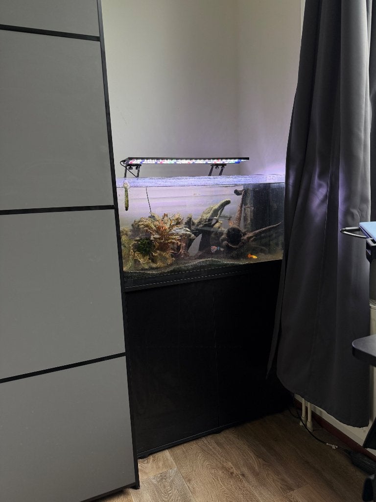 Aquarium complete set, Ophalen, Gebruikt, JBL, Gevuld zoetwateraquarium