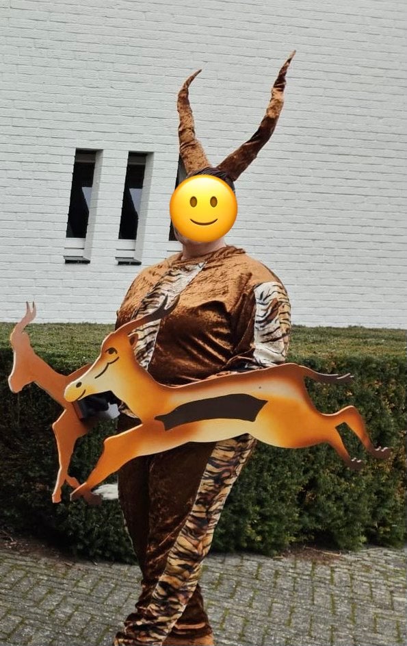 Mooie dierenpakken, Ophalen of Verzenden, Gebruikt, Pak of Jurk