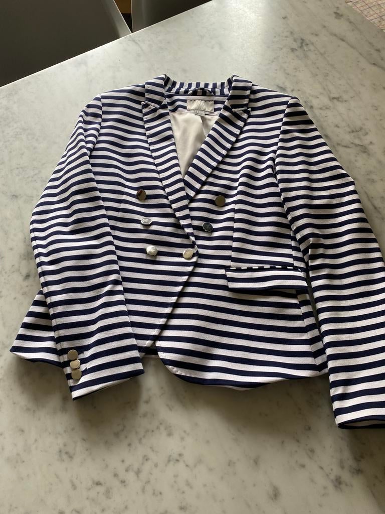Blazer, Ophalen of Verzenden, Zo goed als nieuw, Maat 42/44 (L), Blauw