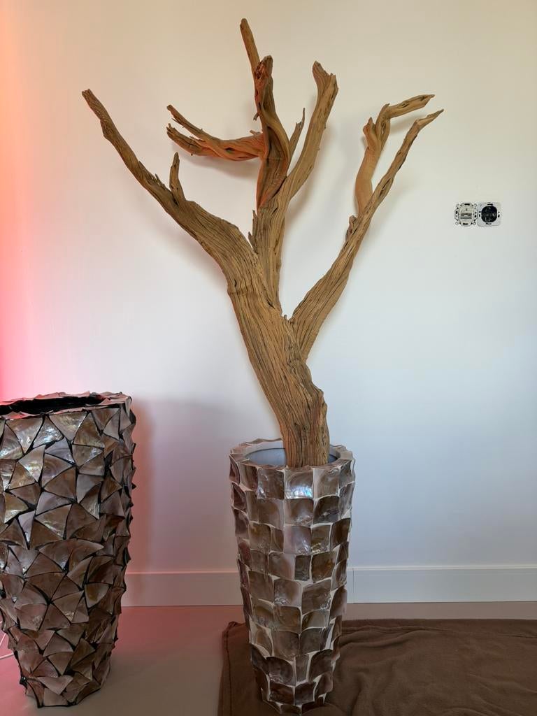 Hotelchique Schelpenvaas met grote Ghostwood tak, Huis en Inrichting, Woonaccessoires | Vazen, Zo goed als nieuw, Overige kleuren