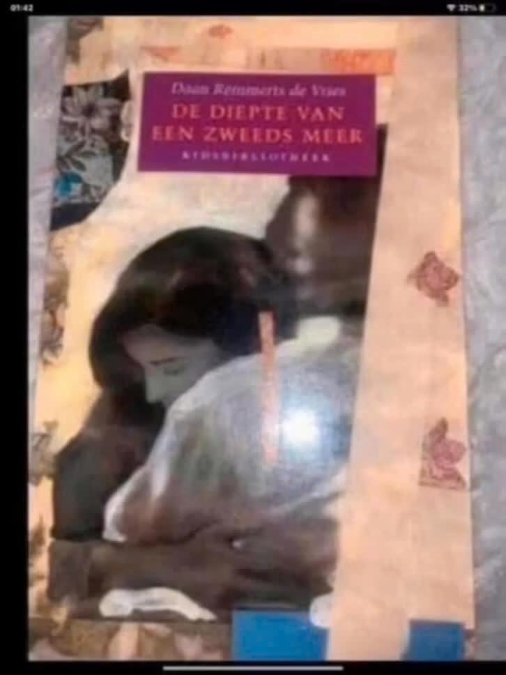 De diepte van een Zweeds meer - Daan Remmerts de Vries, Boeken, Gelezen, Daan Remmerts de Vries, Ophalen of Verzenden, Overige uitgevers