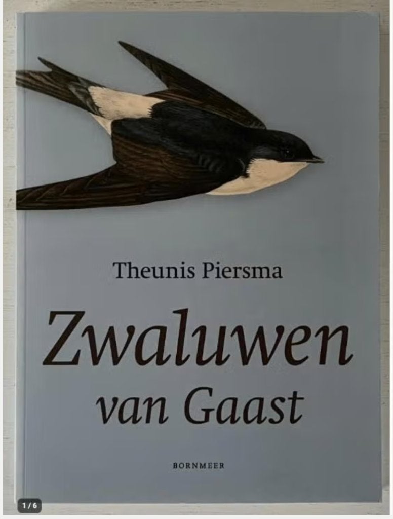 Zwaluwen van Gaast, Ophalen of Verzenden, Zo goed als nieuw, Vogels