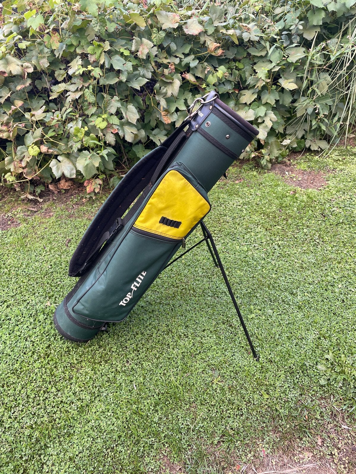 Top-Flite Golf Standbag - Groen/Geel, Ophalen, Gebruikt, Tas, Overige merken