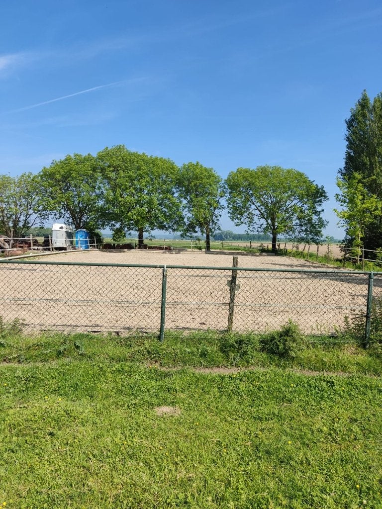 Pensionstalling paardenstal met weidegang, Weidegang, 1 paard of pony