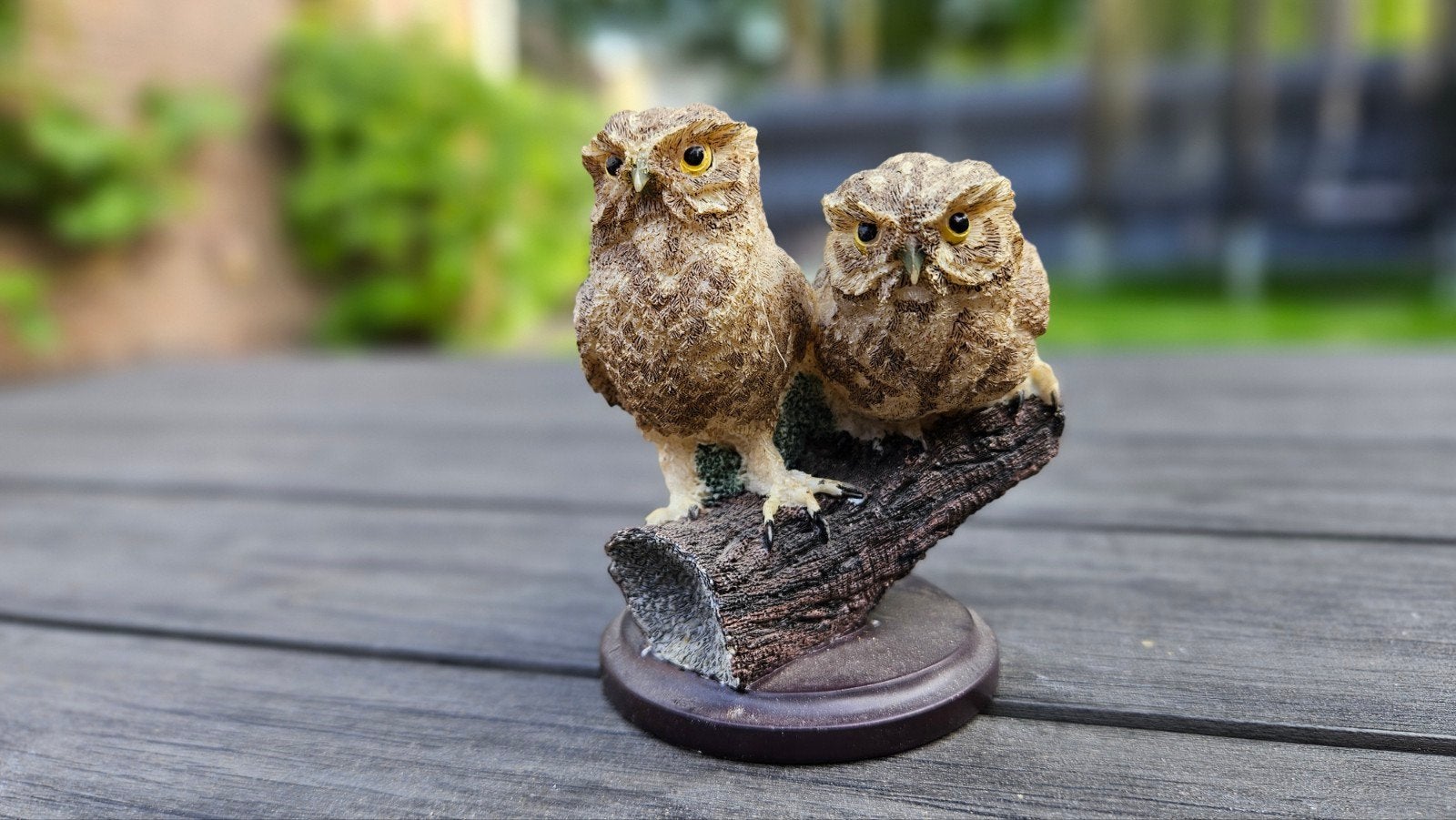 Vogelwelt steenuil, Ophalen of Verzenden