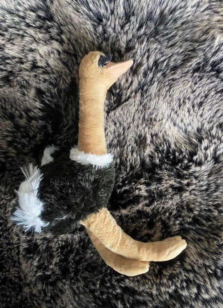 Struisvogel / nieuw ! 25 cm, Verzenden, Zo goed als nieuw