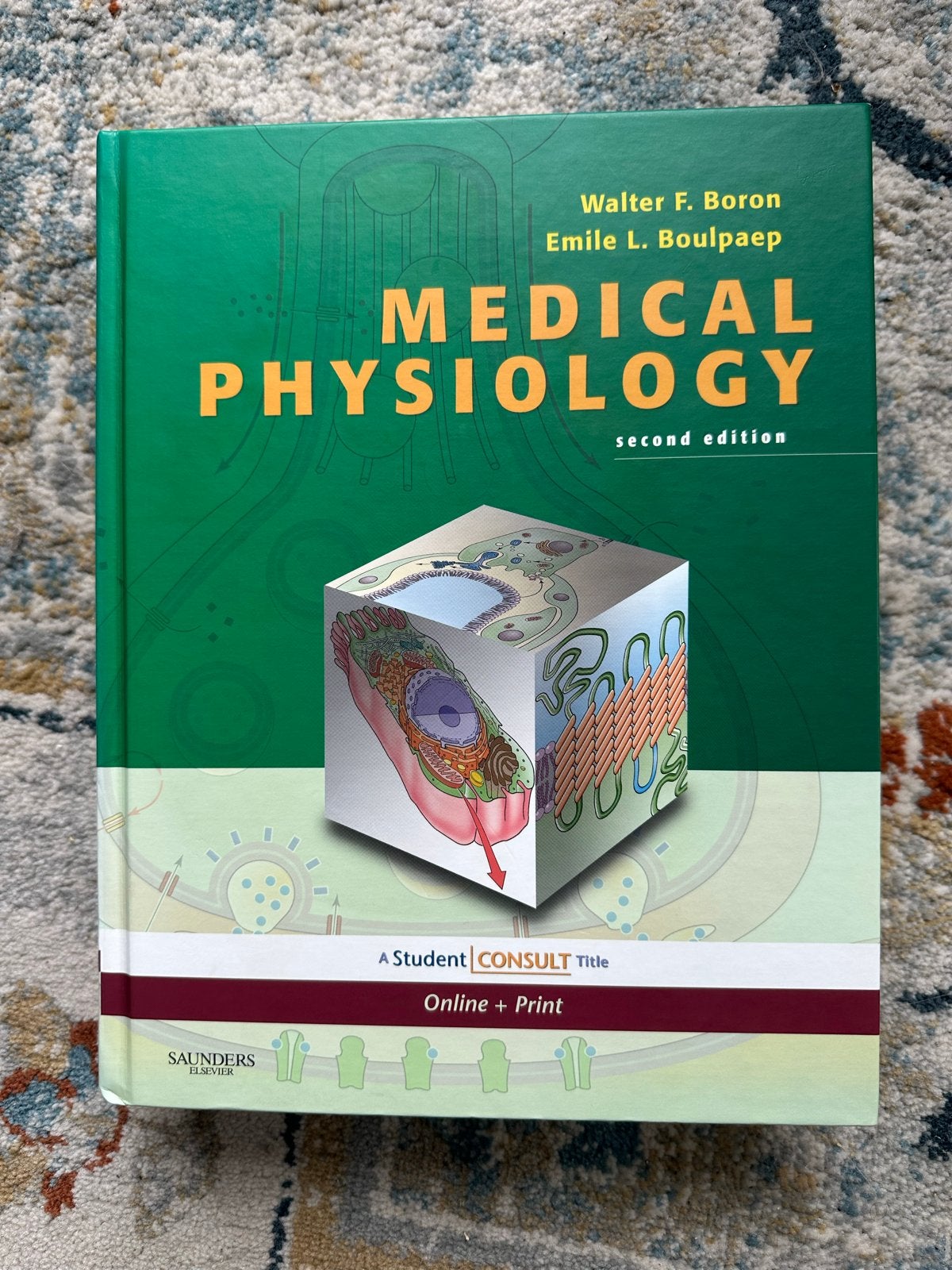 Medical Physiology - Boron & Boulpaep (2e editie), Boeken, Ophalen, Beta, Zo goed als nieuw, WO