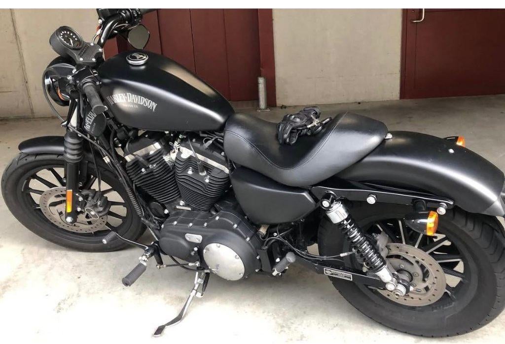 Harley Davidson Sportster Iron 883, Motoren, Motoren | Harley-Davidson, 2 cilinders, Occasion, Motorrijbewijs A, Particulier