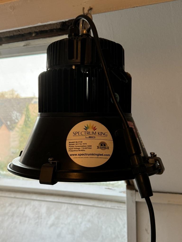 kweeklamp, Tuin en Terras, Ophalen of Verzenden, Gebruikt, Kweeklamp