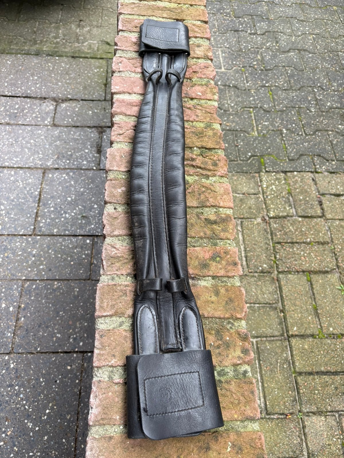 Dressuur singel zwart 50 cm, Gebruikt, Ophalen of Verzenden, Zwart, Singel