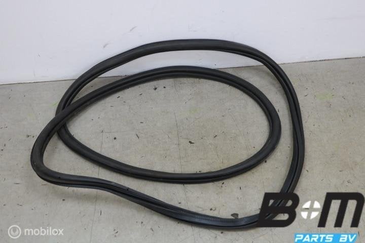 Portier rubber rechtsvoor VW T-Roc 2GA867912B, Gebruikt