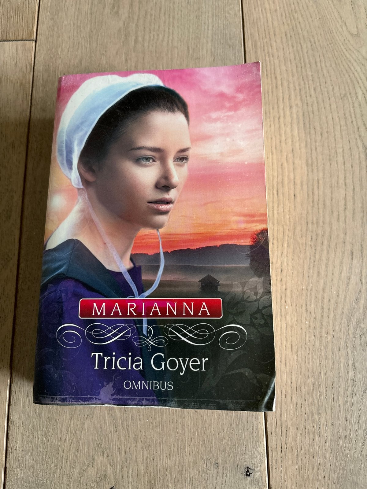 Marianna Omnibus - Tricia Goyer (Gelezen), Ophalen of Verzenden, Gelezen, Wereld overig