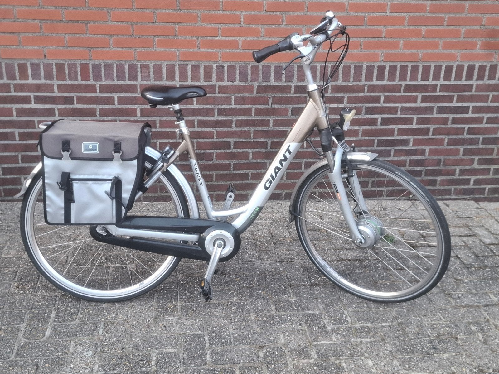 Giant Twist Go Double elektrische fiets, Ophalen, Gebruikt, Giant, 51 tot 55 cm