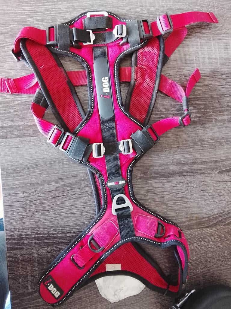 Een band voor een hond, Ophalen