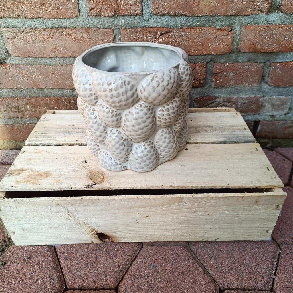 Mooie bloempot voor binnen, Ophalen, Rond, Binnen, Zo goed als nieuw