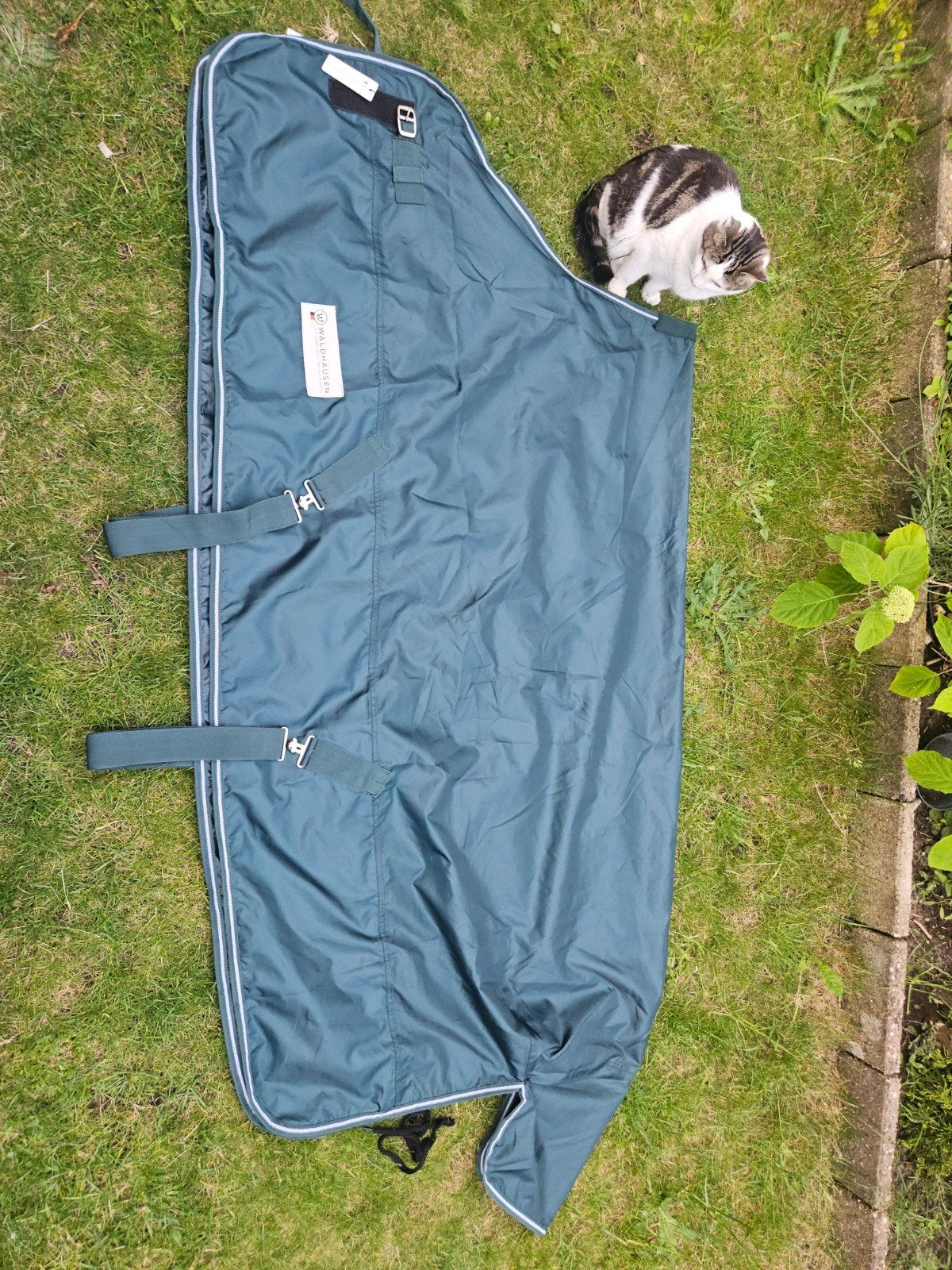 Waldhausen
REGENDEKEN ECO GROEN 135/185, Dieren en Toebehoren, Paarden en Pony's | Dekens en Dekjes, Overige merken, 0 g, Ophalen of Verzenden