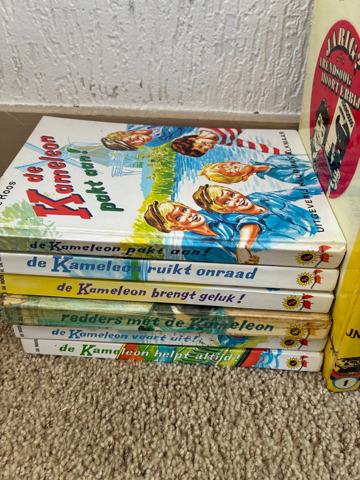 De Kameleon boeken - 6 delen van H. de Roos, Boeken, Kinderboeken | Jeugd | 10 tot 12 jaar, Gelezen, Fictie, Ophalen