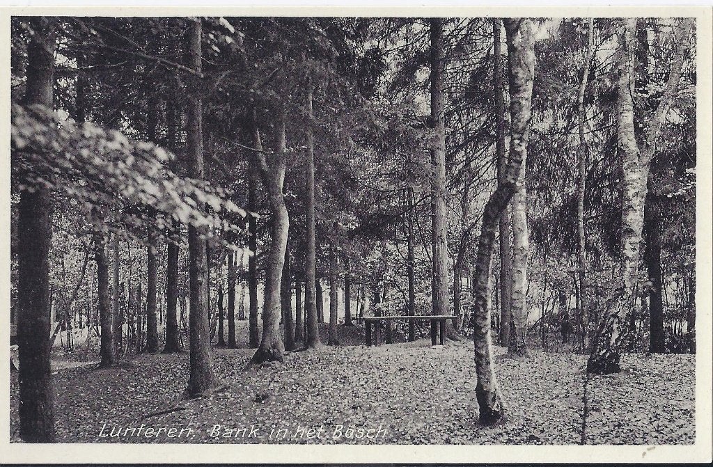 Lunteren Bank in het Bosch Oude Ansichtkaart ( 8314 ), Ophalen of Verzenden, 1960 tot 1980, Ongelopen, Gelderland
