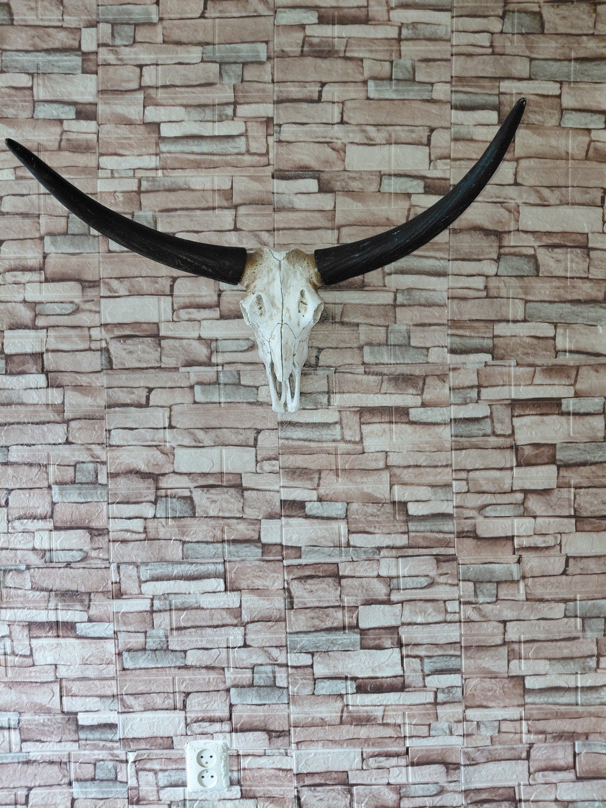 Schedel met hoorns ( longhorn), Ophalen of Verzenden, Schedel
