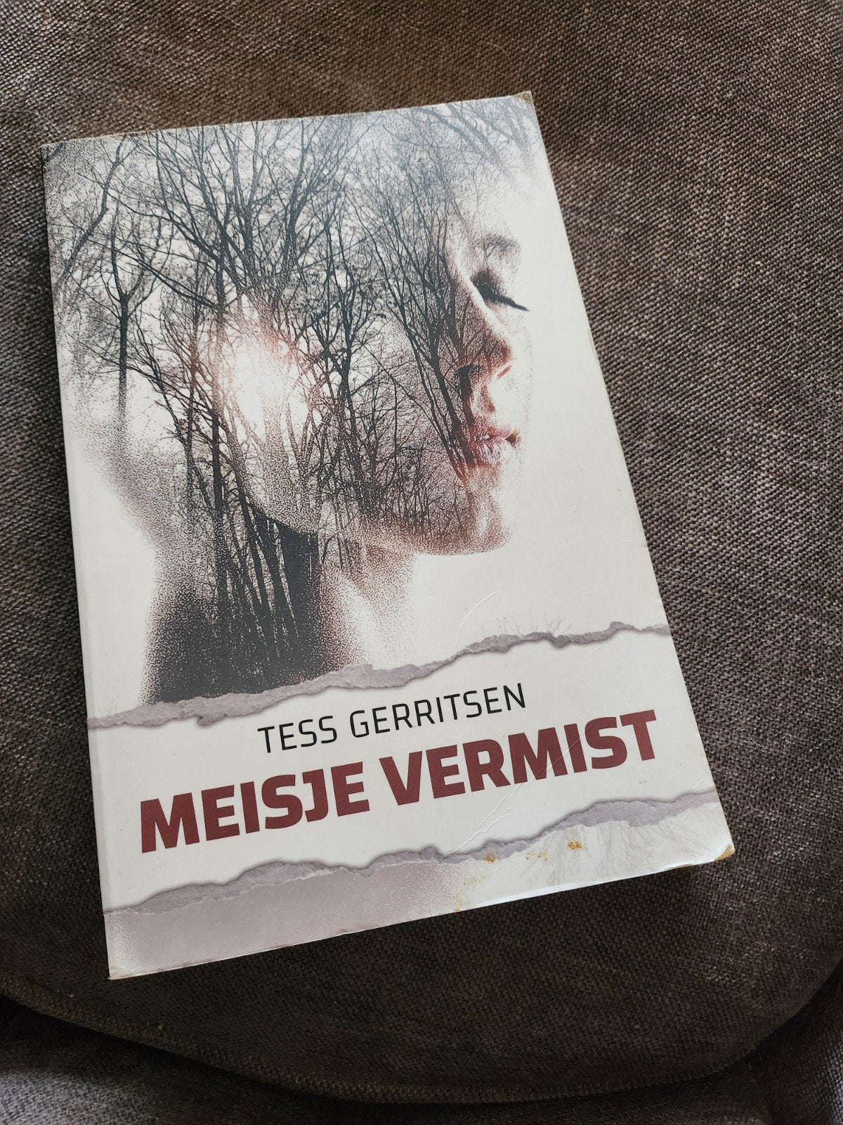 Meisje Vermist - Tess Gerritsen (Thriller), Boeken, Ophalen of Verzenden