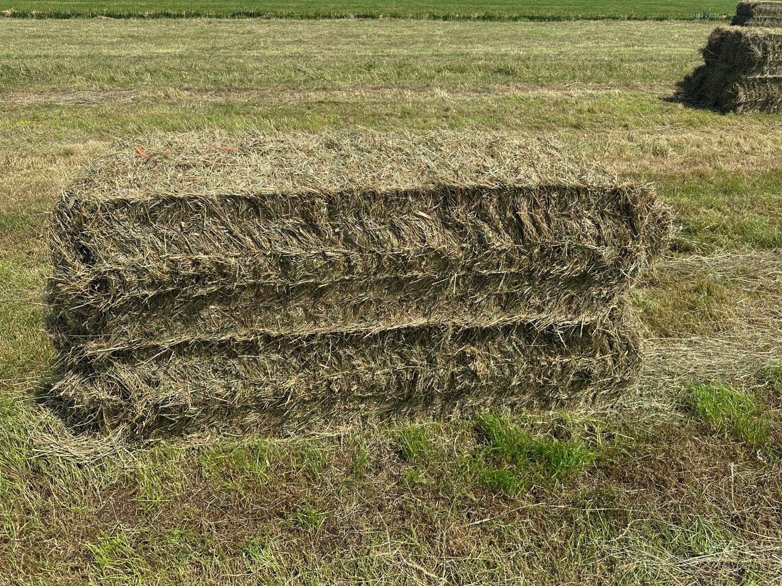 Droge balen gras