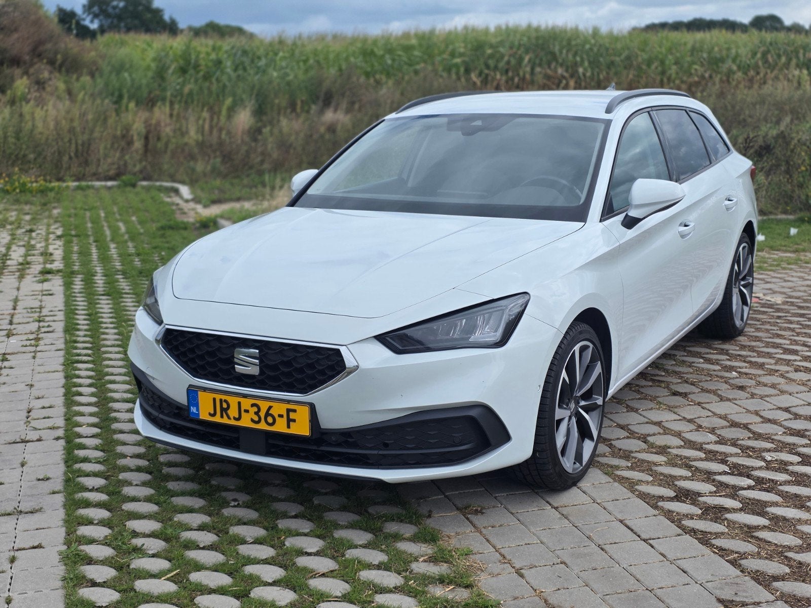 Seat Leon 1.5 Etsi 150pk Dsg-7 2021 Wit, Auto's, Seat, Stof, 1498 cc, 4 cilinders, 700 kg