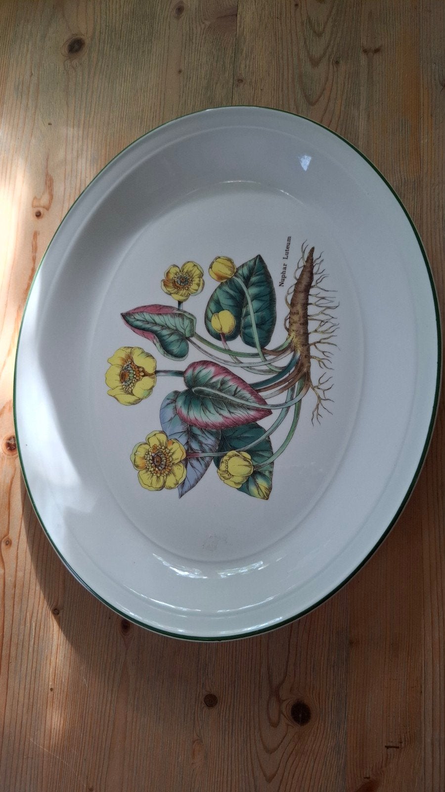 Vintage Florabunda serveerschaal - Nuphar Luteum, Overige merken, Keramiek, Vintage, Ophalen of Verzenden