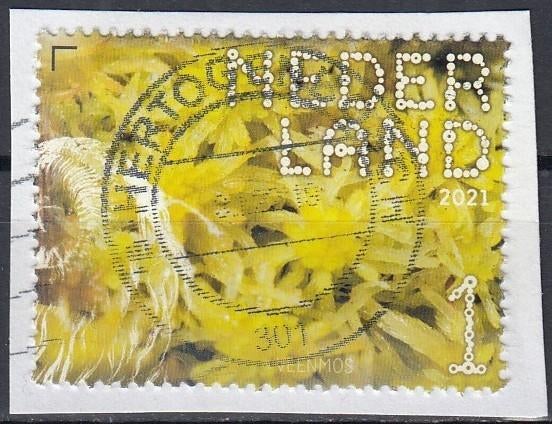 Nederland -10-44- 2021- Dwingelderveld- Veenmos- G, Postzegels en Munten, Postzegels | Nederland, Verzenden, Na 1940, Gestempeld