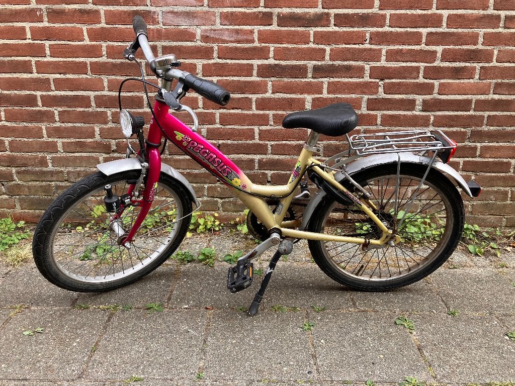 Pegasus kinderfiets 20 inch, Ophalen, Terugtraprem, Gebruikt, Handrem