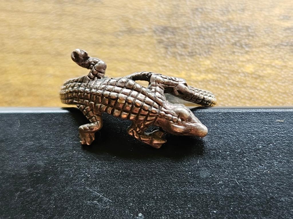 Unieke Krokodil Ring - Zilverkleurig, Overige materialen, Gebruikt, Ophalen of Verzenden, 17 tot 18