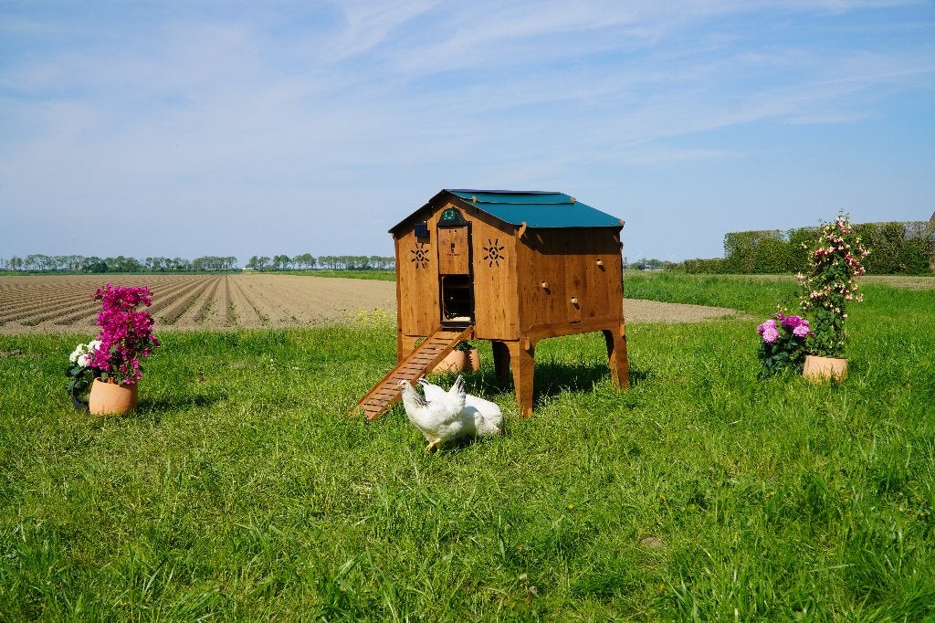 Trespa Kippenhok Cucciolotta | Duplex 2XL, Ophalen of Verzenden, Nieuw, Kippenhok of Kippenren