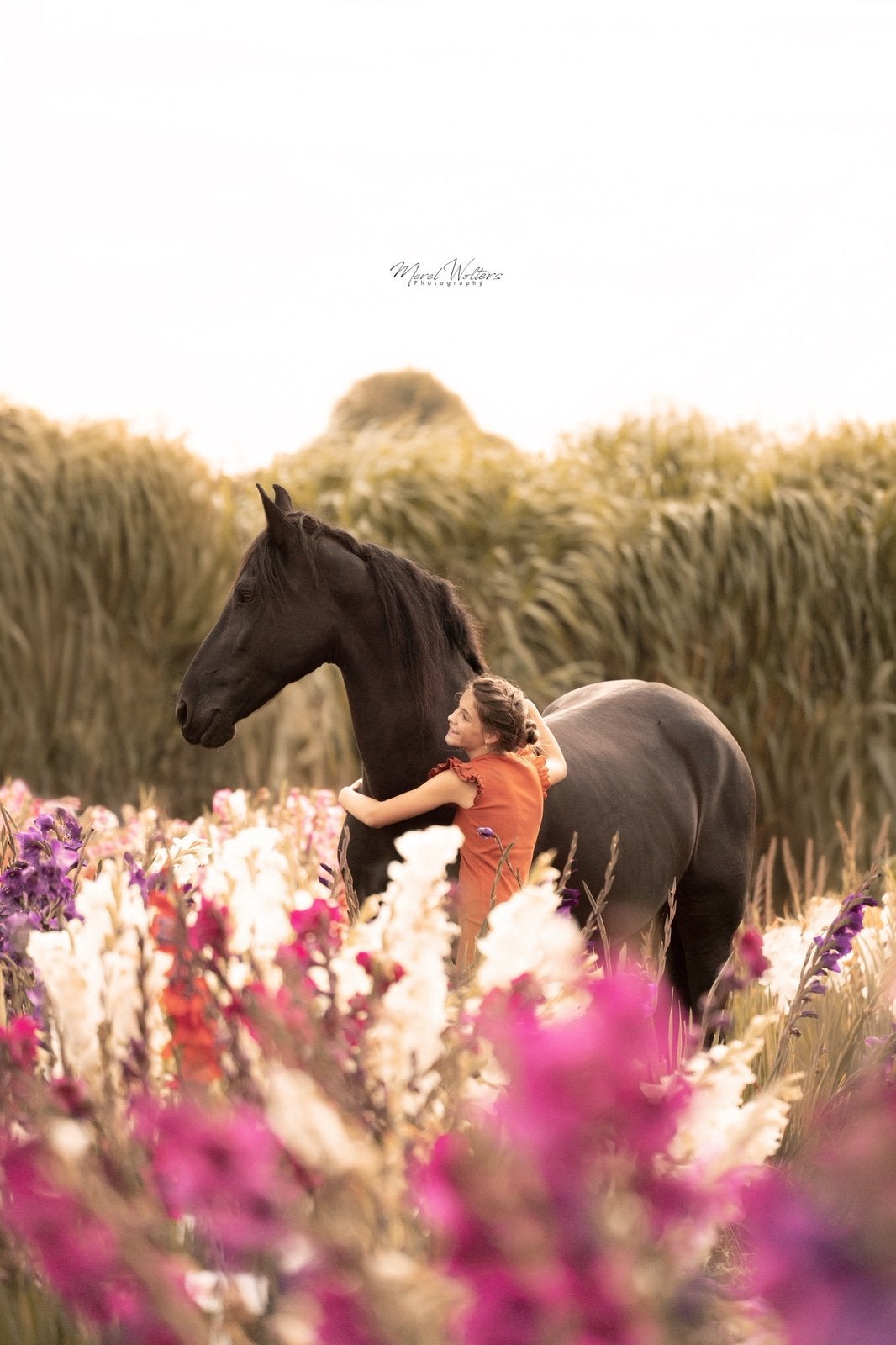 Barock pinto / Fries 10 jaar merrie recreatie paard, Dieren en Toebehoren, Paarden, B, 7 tot 10 jaar, Merrie, Gechipt