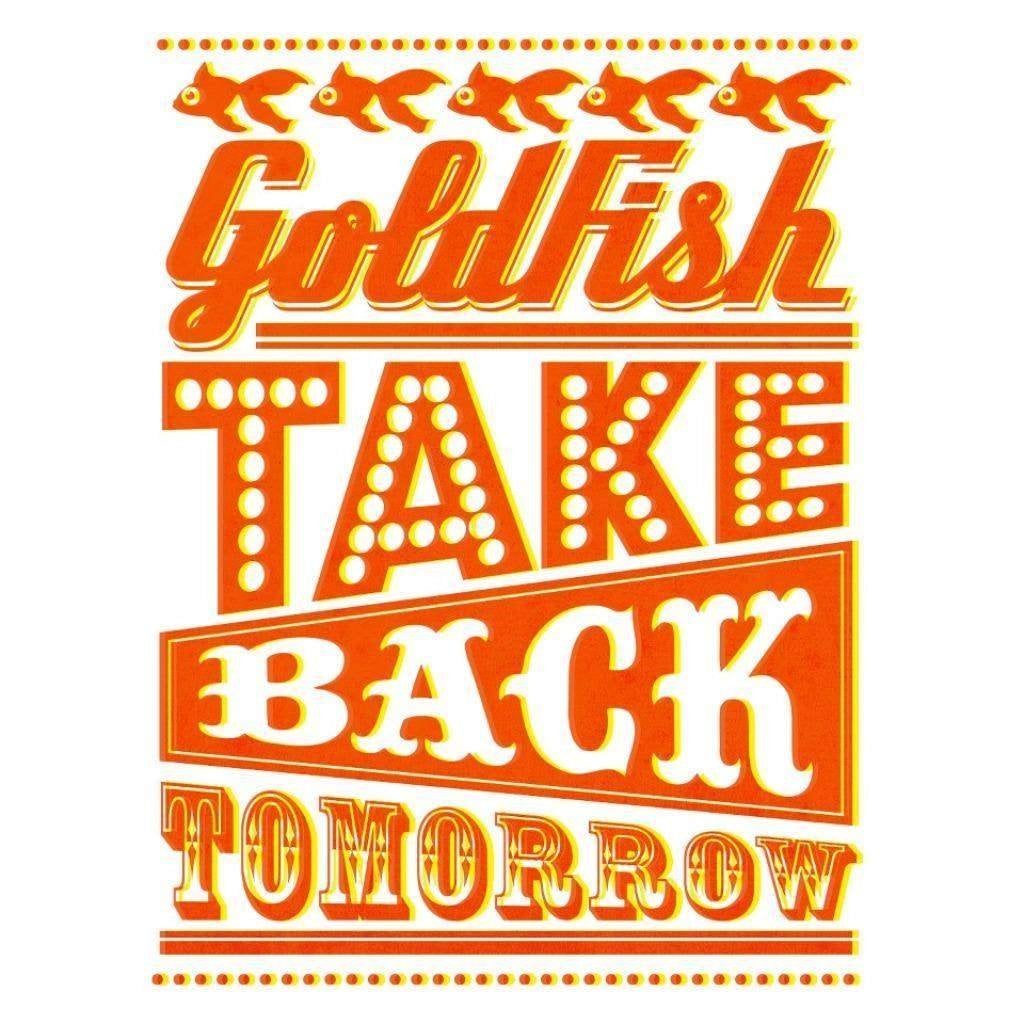 Goldfish - Take Back Tomorrow (PROMO), Cd's en Dvd's, Ophalen of Verzenden, Zo goed als nieuw, Overige genres