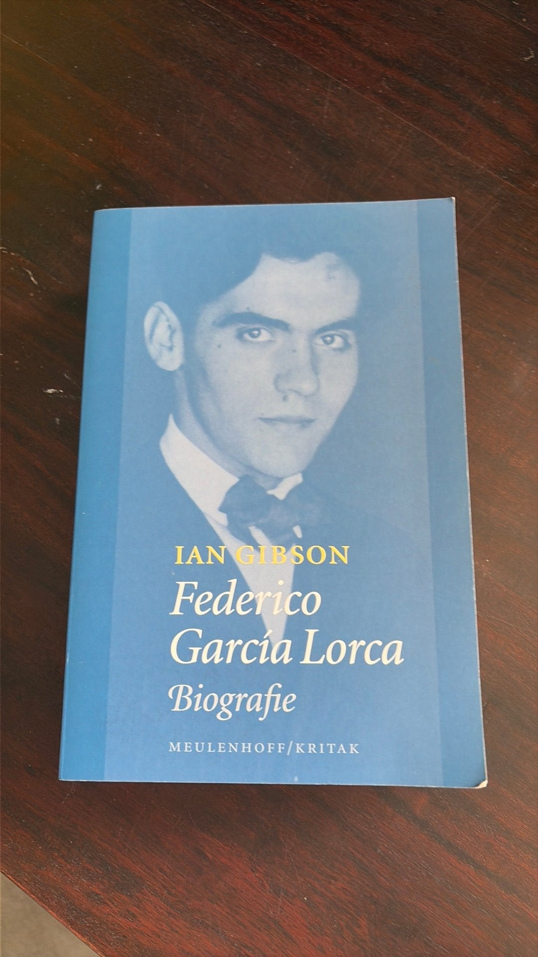 Federico Garcia Lorca - Ian Gibson, Boeken, Ophalen of Verzenden, Gelezen, Kunst en Cultuur